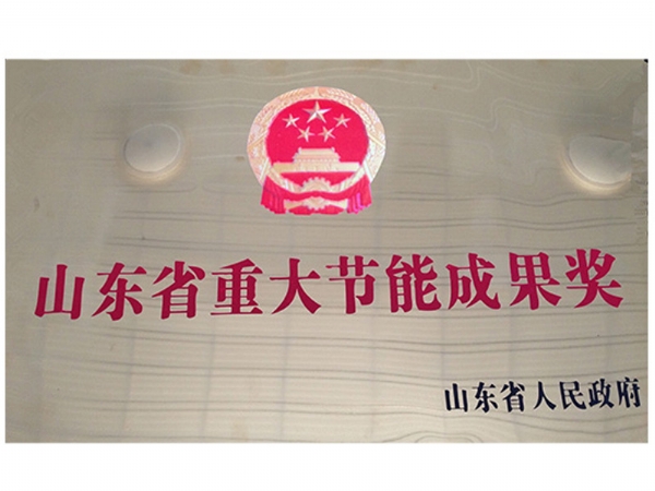 山東省重大節(jié)能成果獎